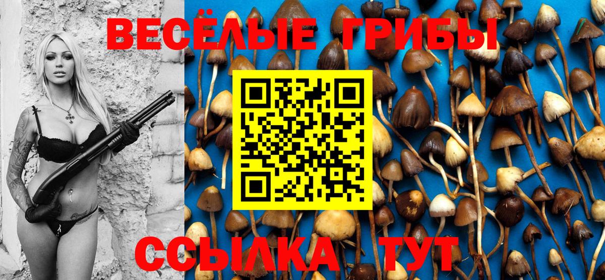Псилоцибиновые грибы Psilocybe Нижний Тагил